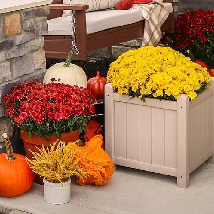 Square Flowerpot - Black